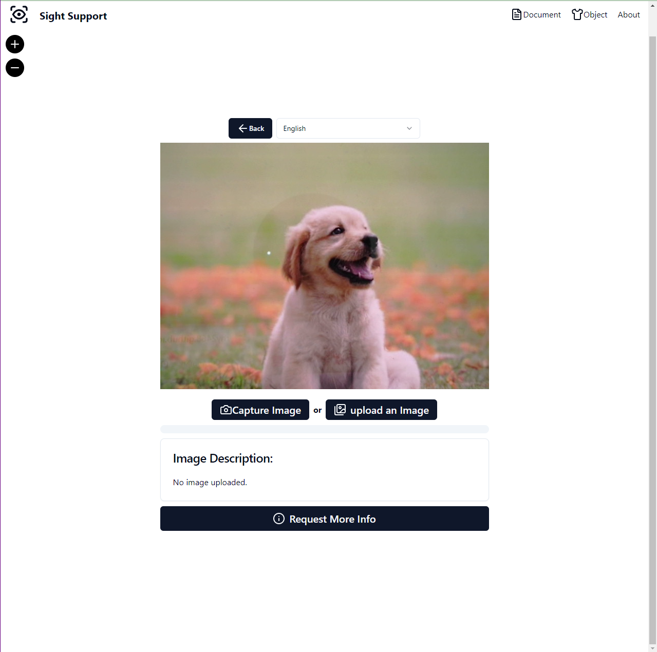 Vision Assistant Personal Portfolio Website